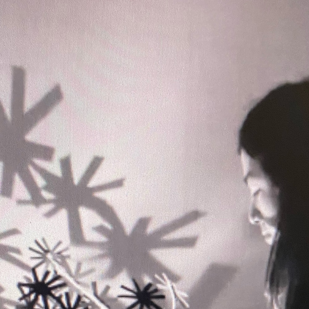 Meet your Posher, Scar